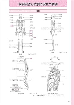 臨床工学技士 国試過去問 ポケットレビュー帳 臨床工学技士 ポケット・レビュー帳−改訂第2版 | 福長 一義 |本